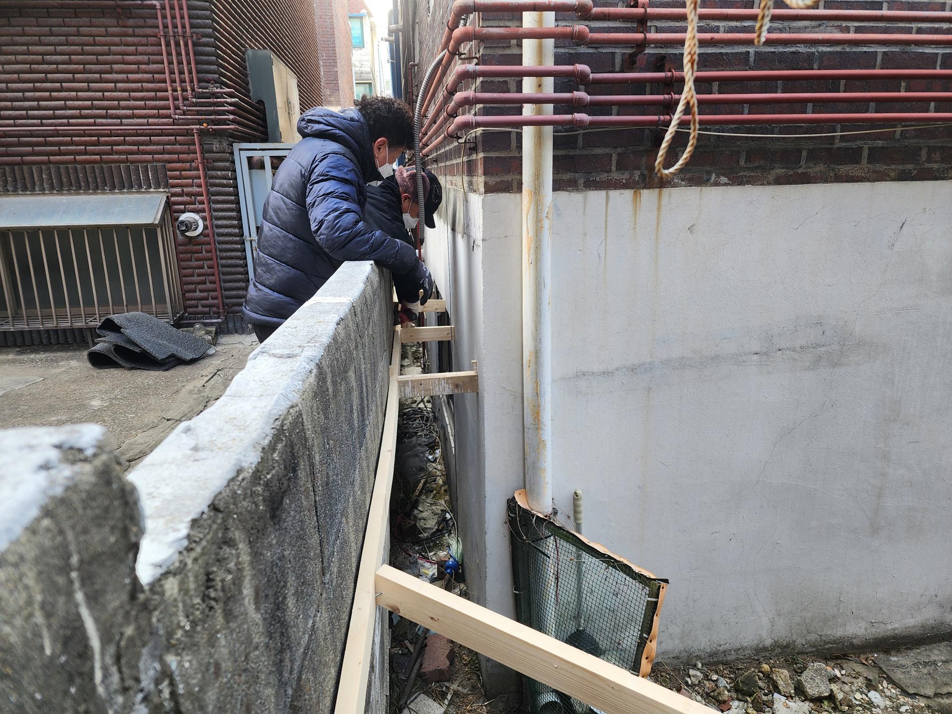 5c529053cc8a8.jpg