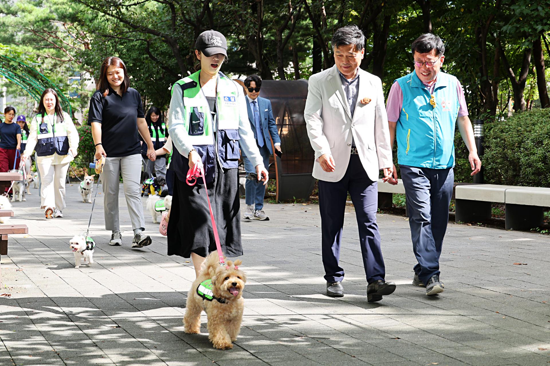 b7d67418008b4.jpg