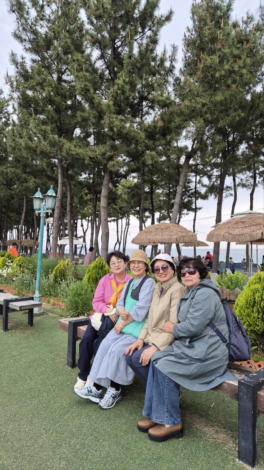4a7ab0de5858e.jpg