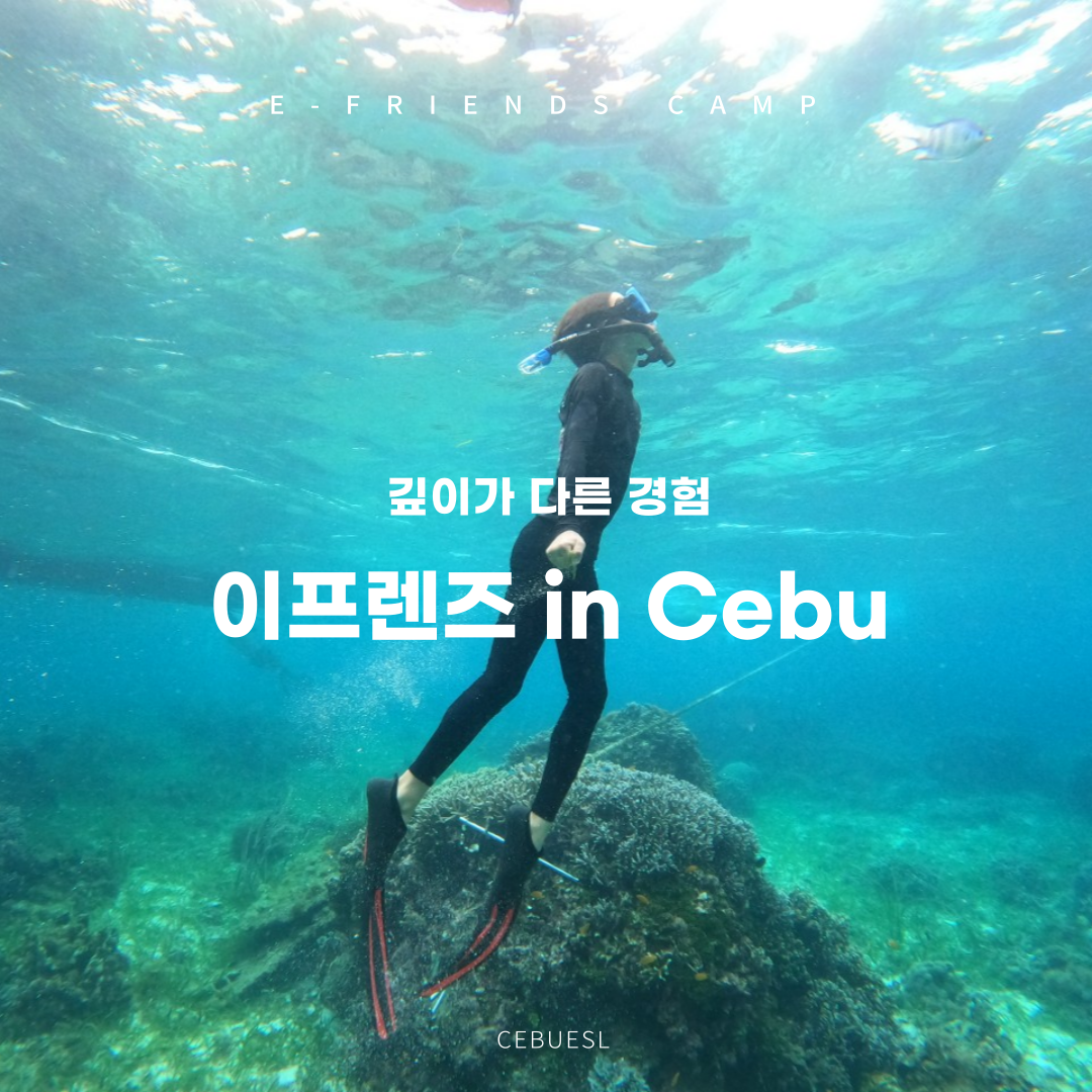 aab1f854c9eb9.png