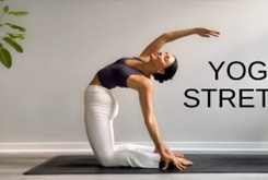 Yoga Lesson