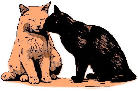 3634aea7a923a.png