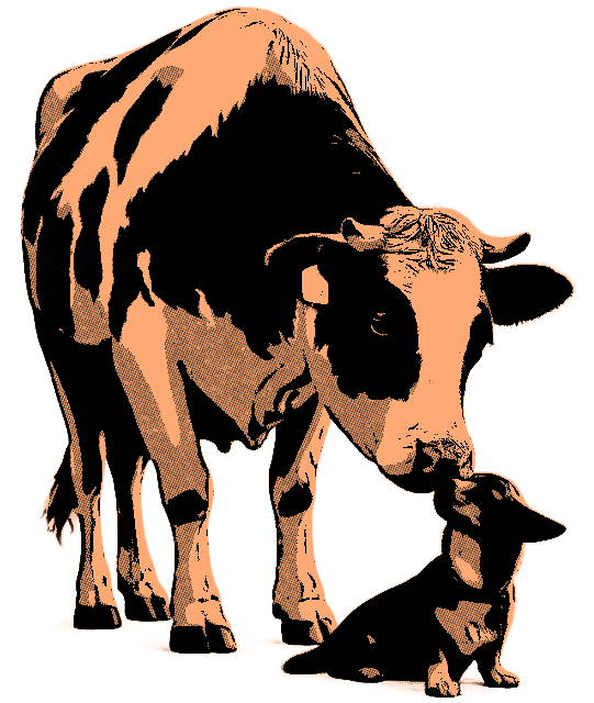 a492041dbb9b0.png