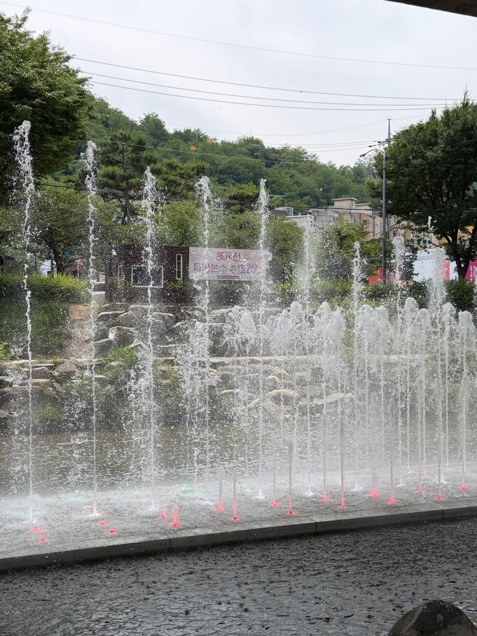 9f10591155599.jpg