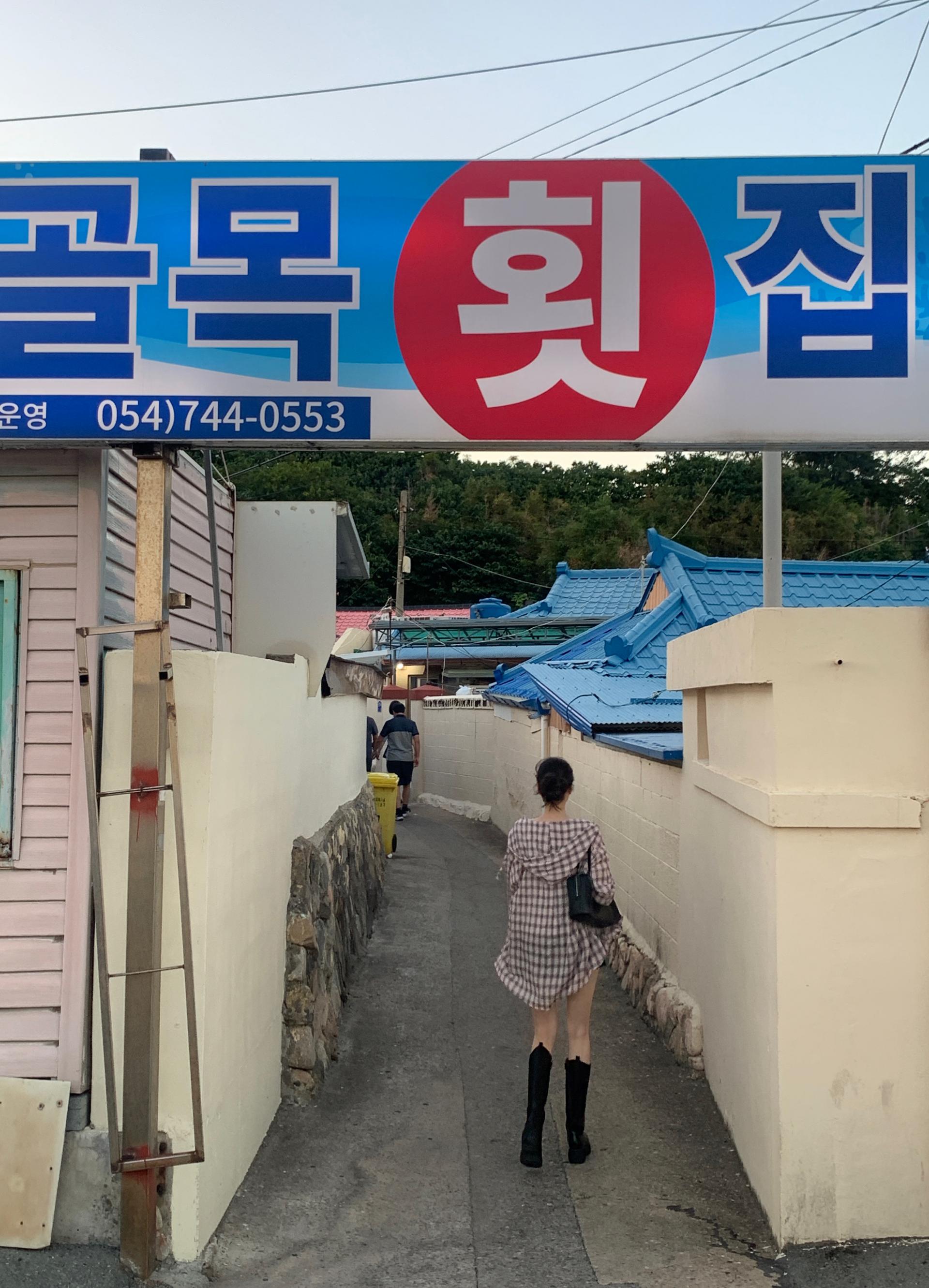 핑크체크