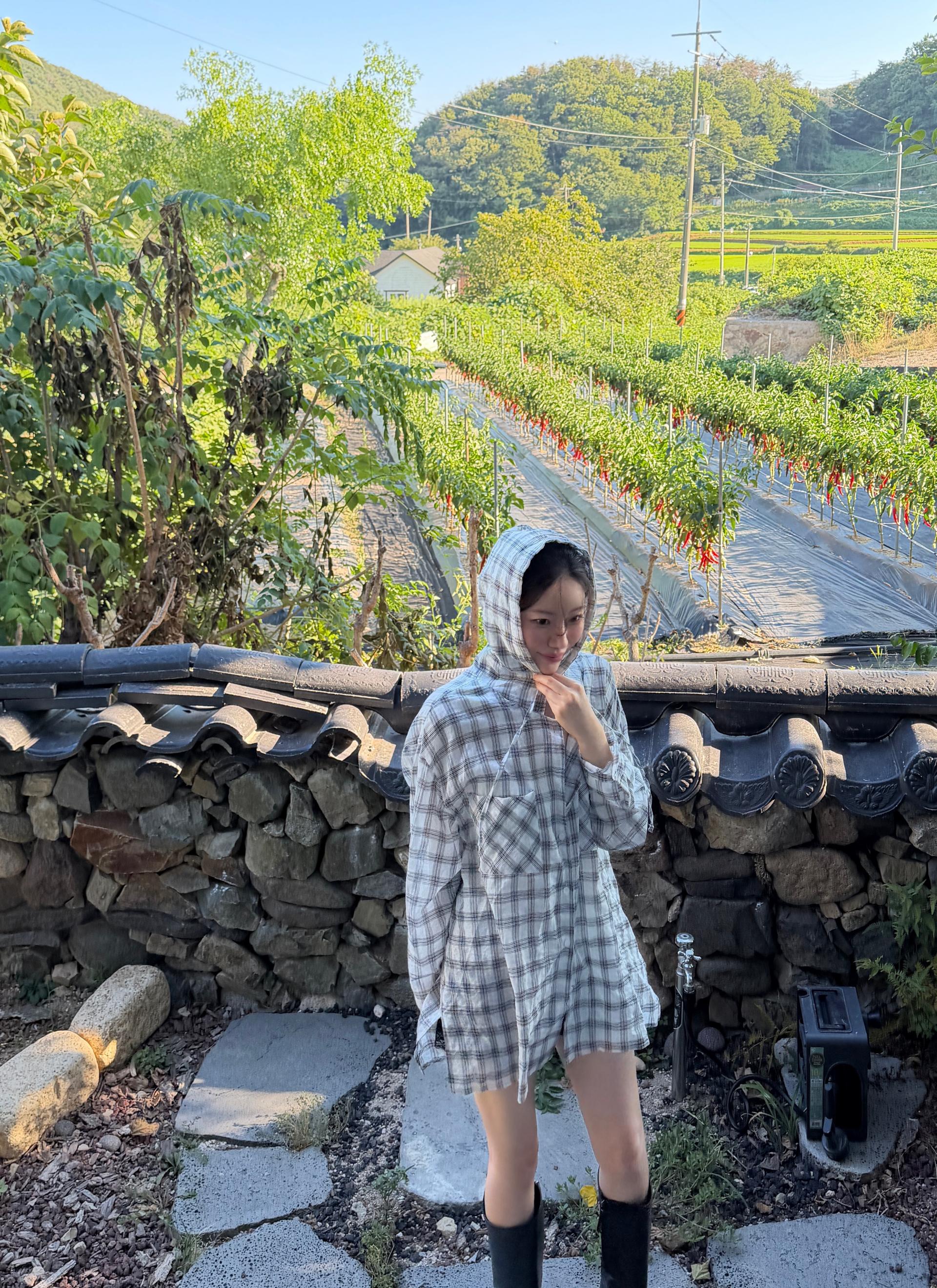 핑크체크