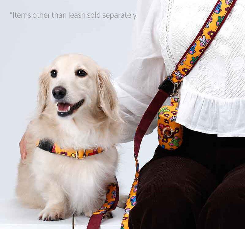 NORADOG Little PoPo Hands-Free Belt Leash