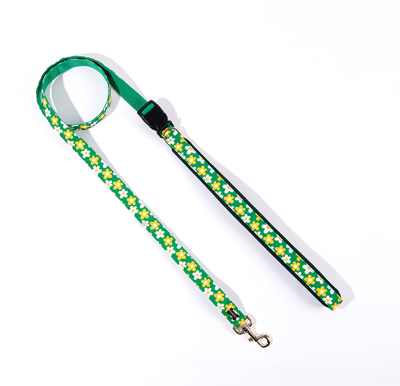 NORADOG PICNIC Hands-Free Belt Leash