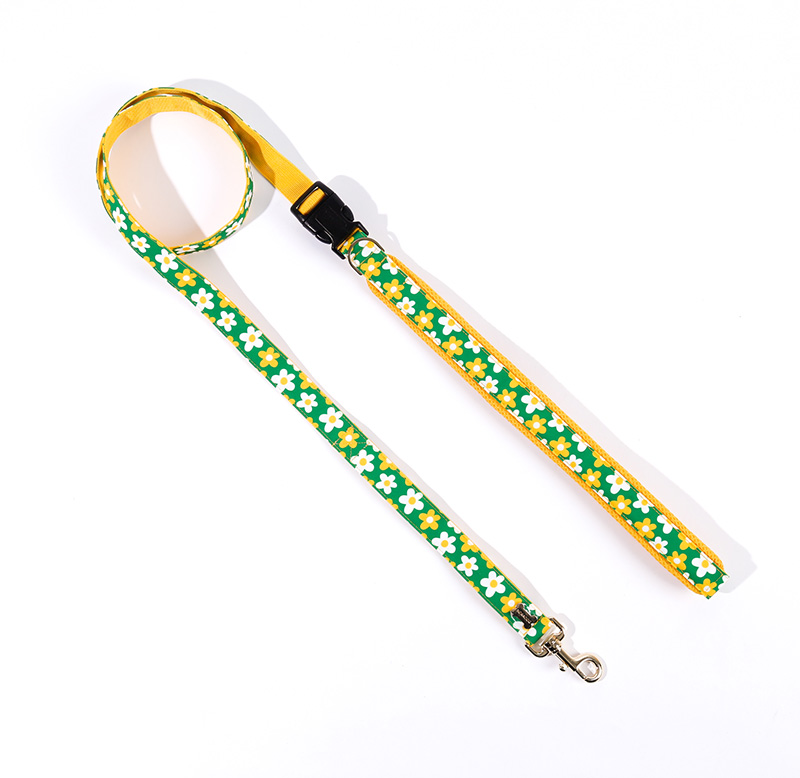 NORADOG PICNIC Hands-Free Belt Leash