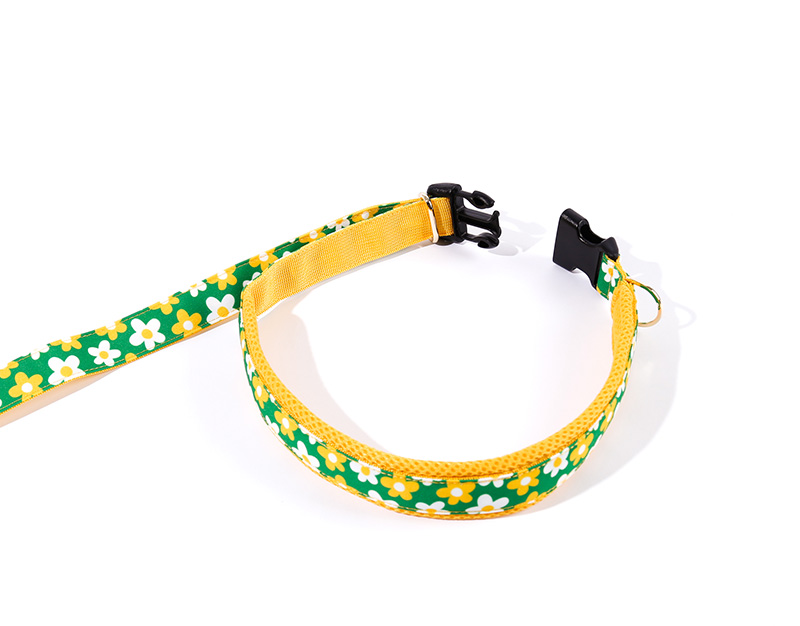 NORADOG PICNIC Hands-Free Belt Leash