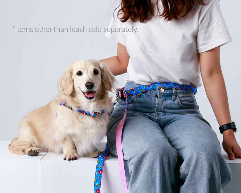 NORADOG Kitsch Kitsch Hands-Free Belt Leash