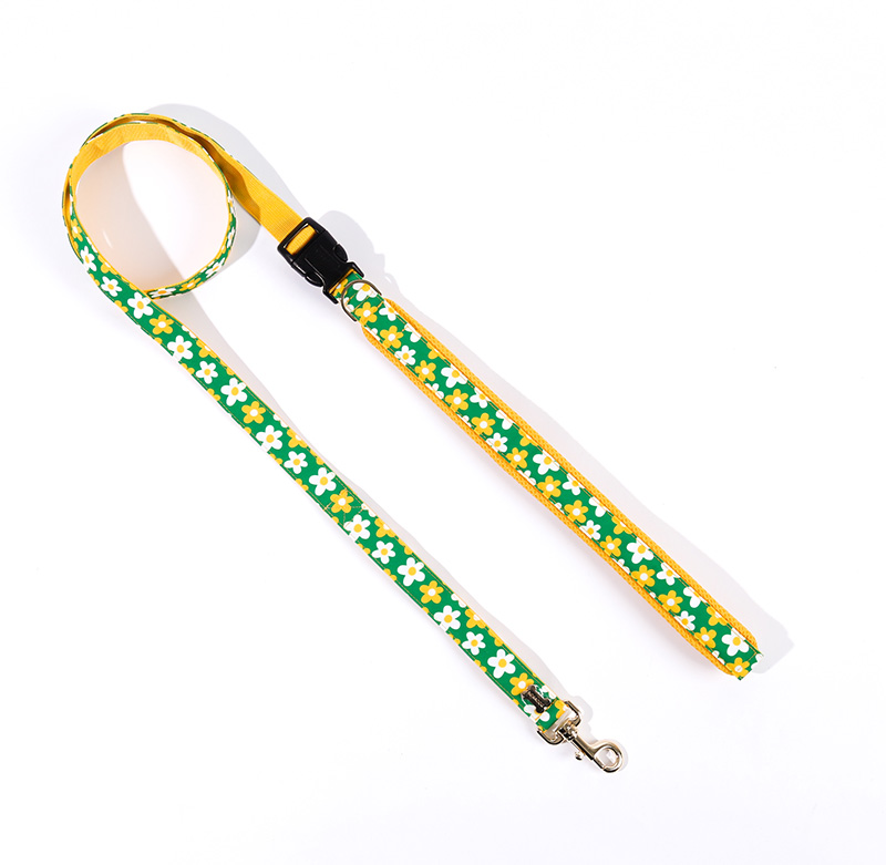 NORADOG PICNIC Hands-Free Belt Leash