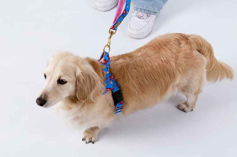 NORADOG Kitsch Kitsch Hands-Free Belt Leash