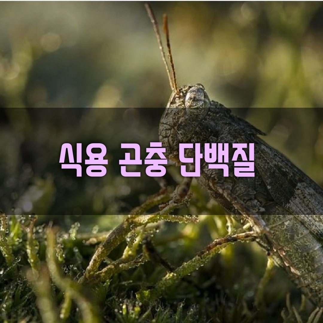 2f35f48303cb3.png