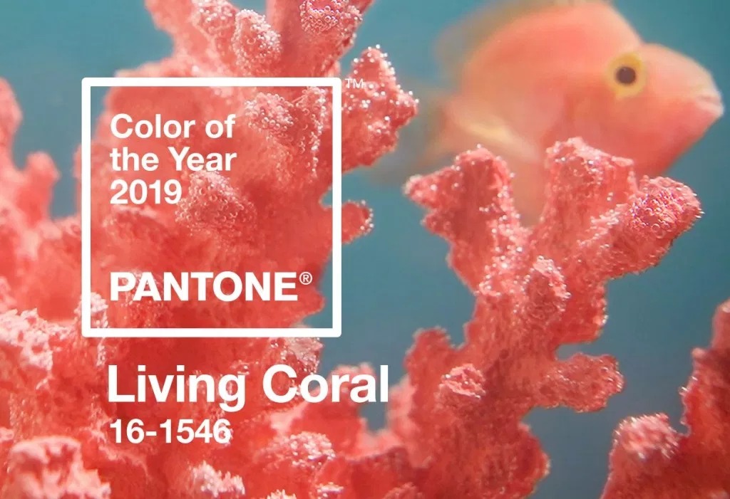 2019-living coral