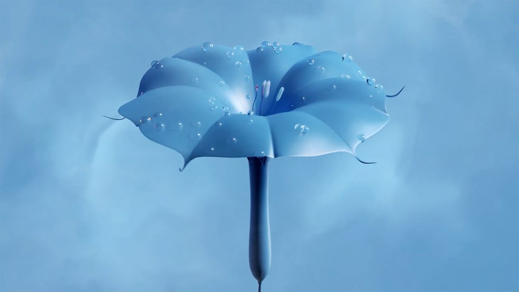 e725b4d028b34.png