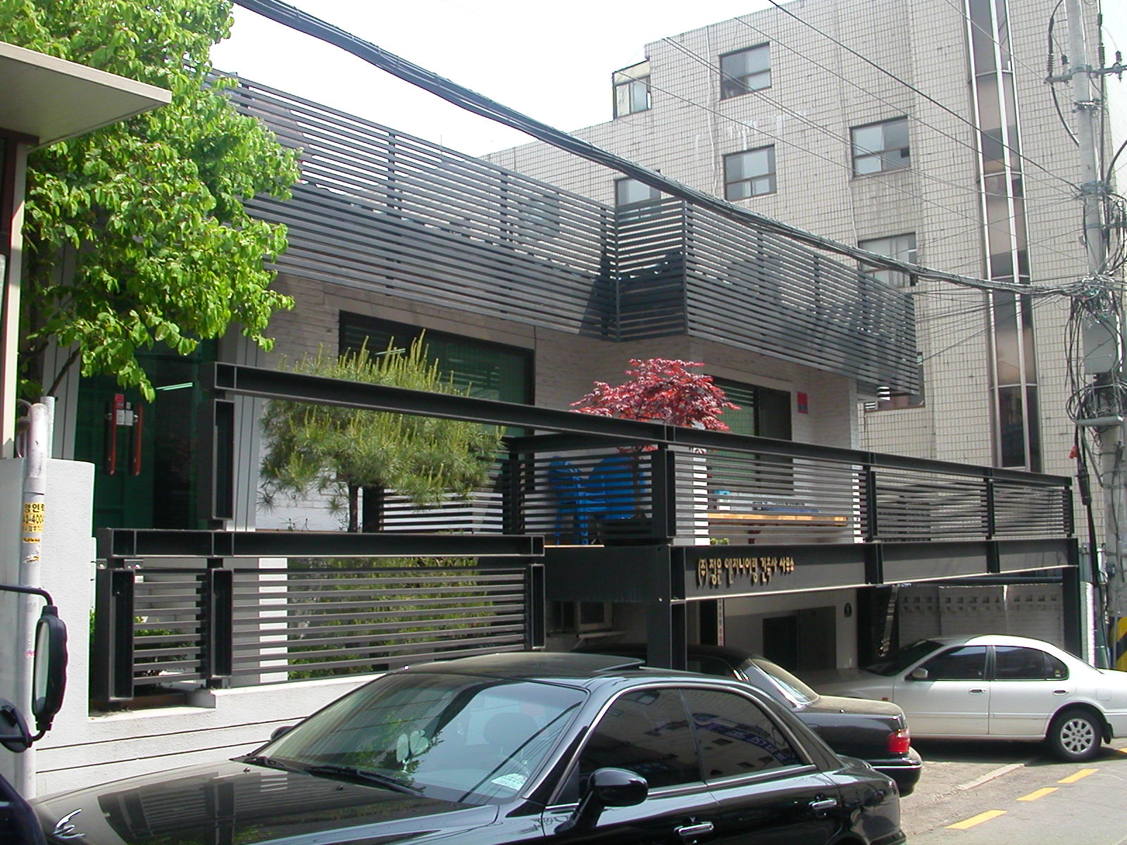 203bcb851745d.jpg