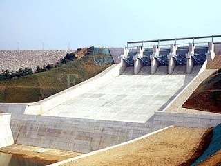 c594843f10762.jpeg