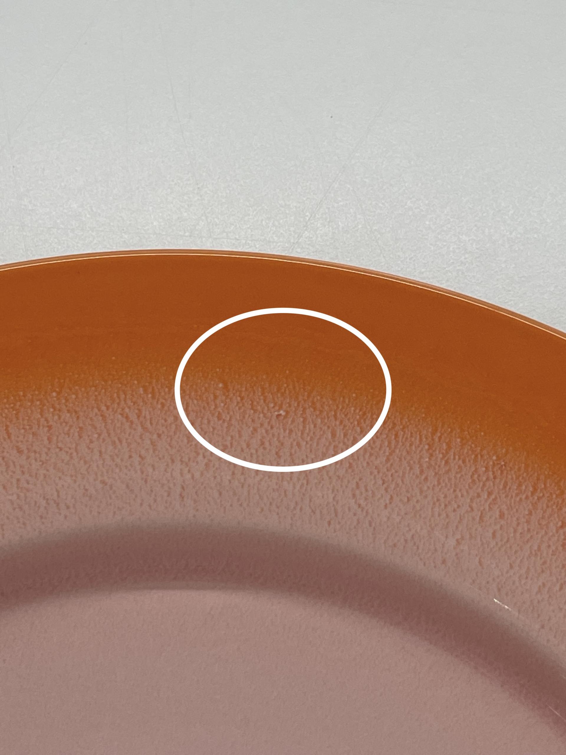 Fog plate 17:00 (B_grade)