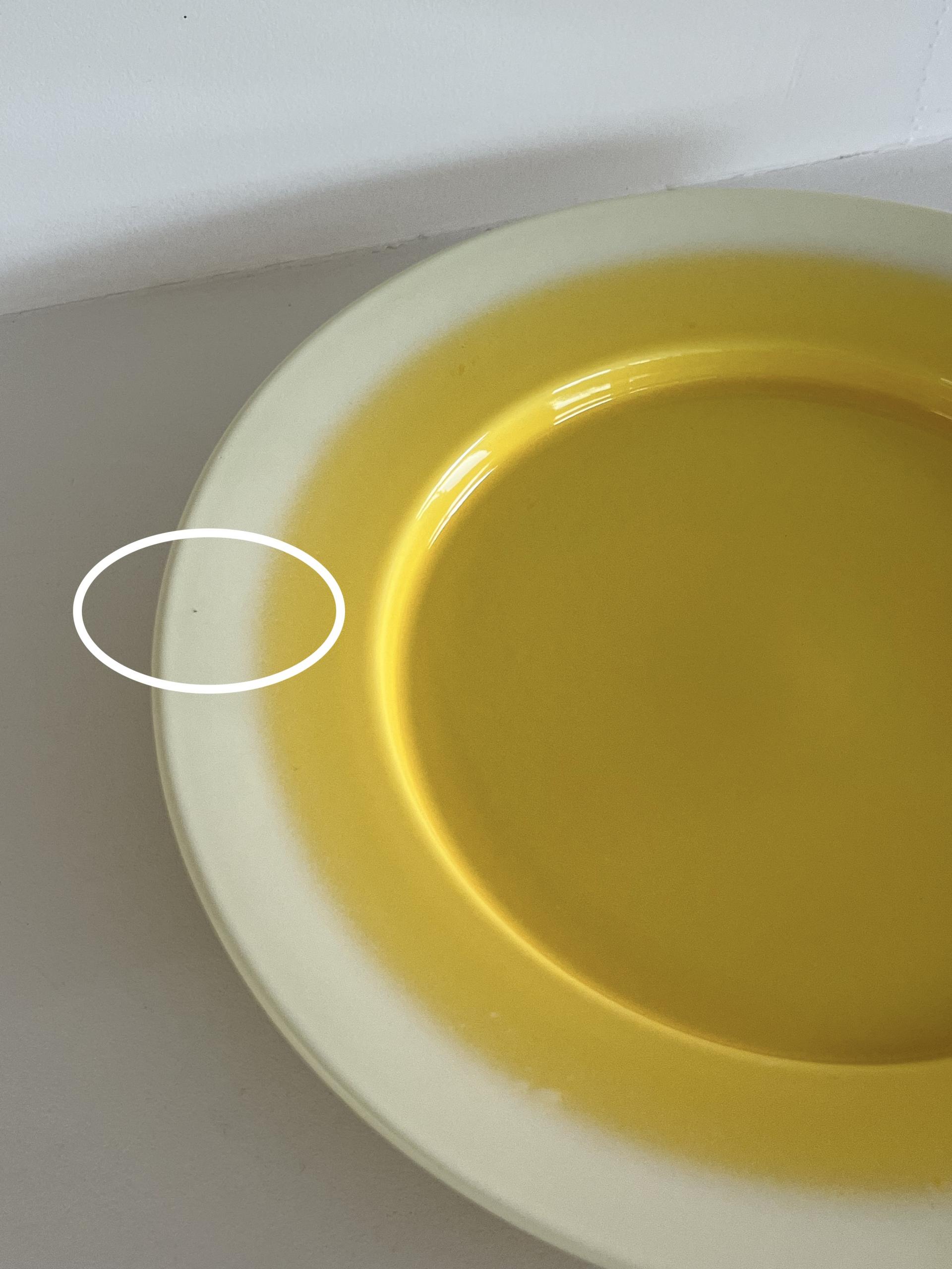Fog plate (B_grade)