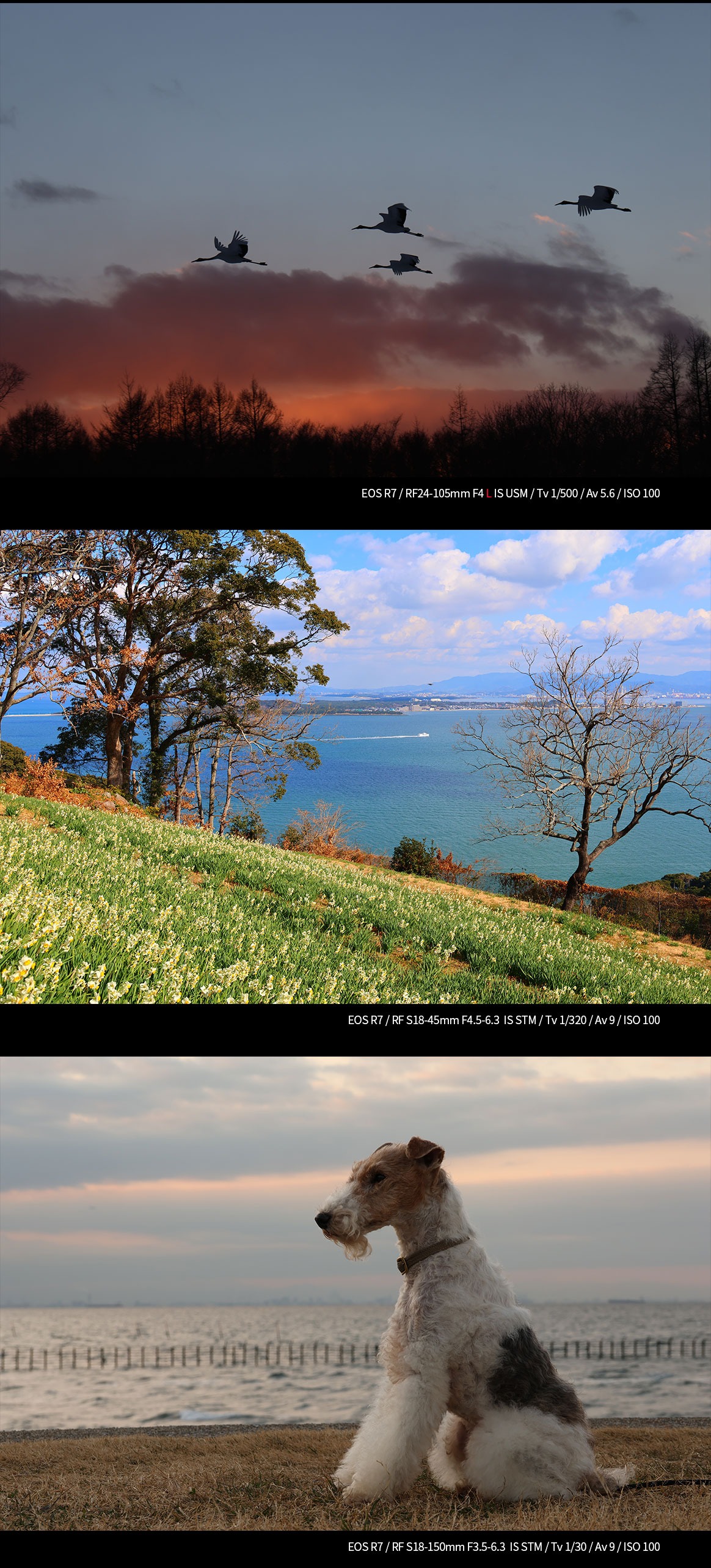 EOS R7 작업물 사진