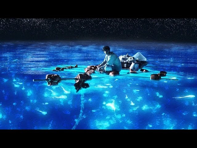 쫑필름 20편 <화양연화> - 영화 토크 + 와인