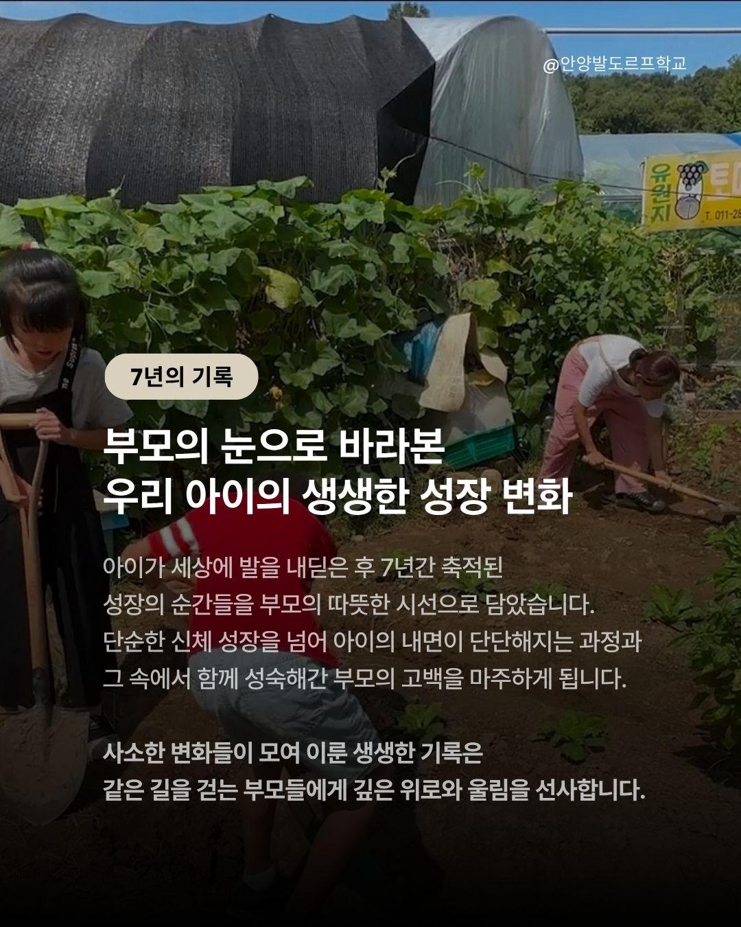 c33cd9a20102a.jpeg