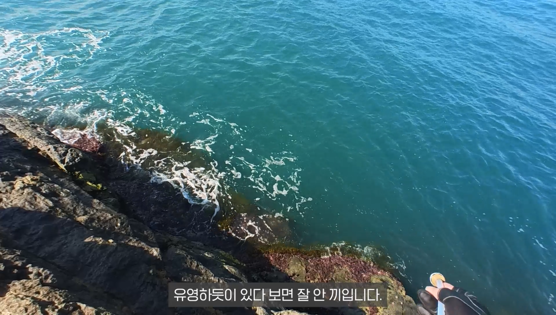 2a578159d5593.png
