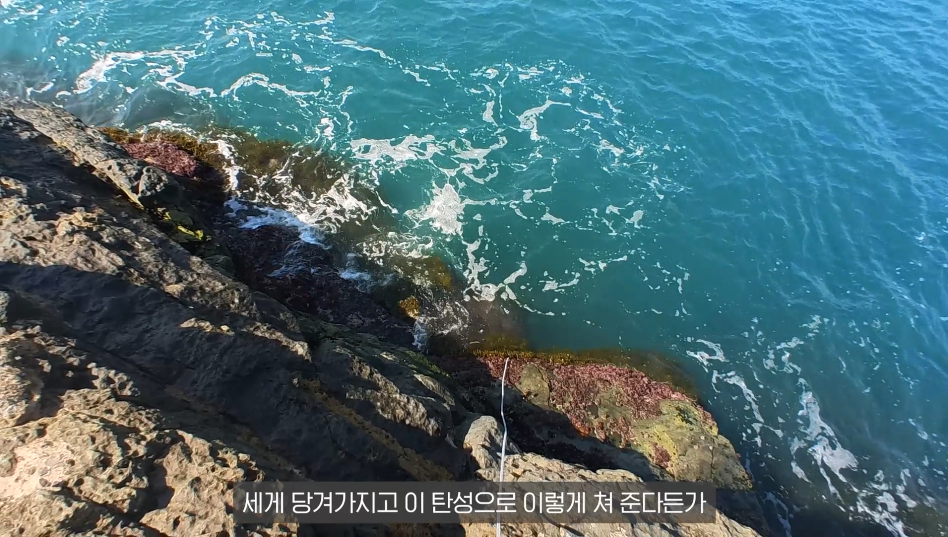 76e289589a81a.png