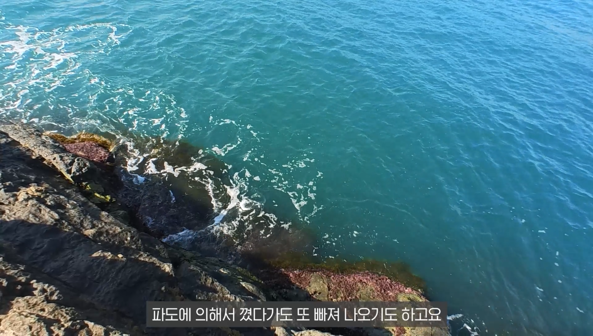 a5500000ade42.png