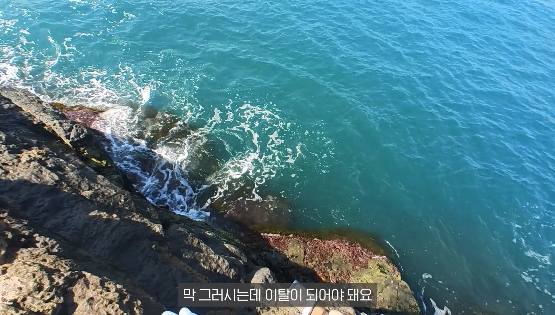 d88856a9c30cd.png