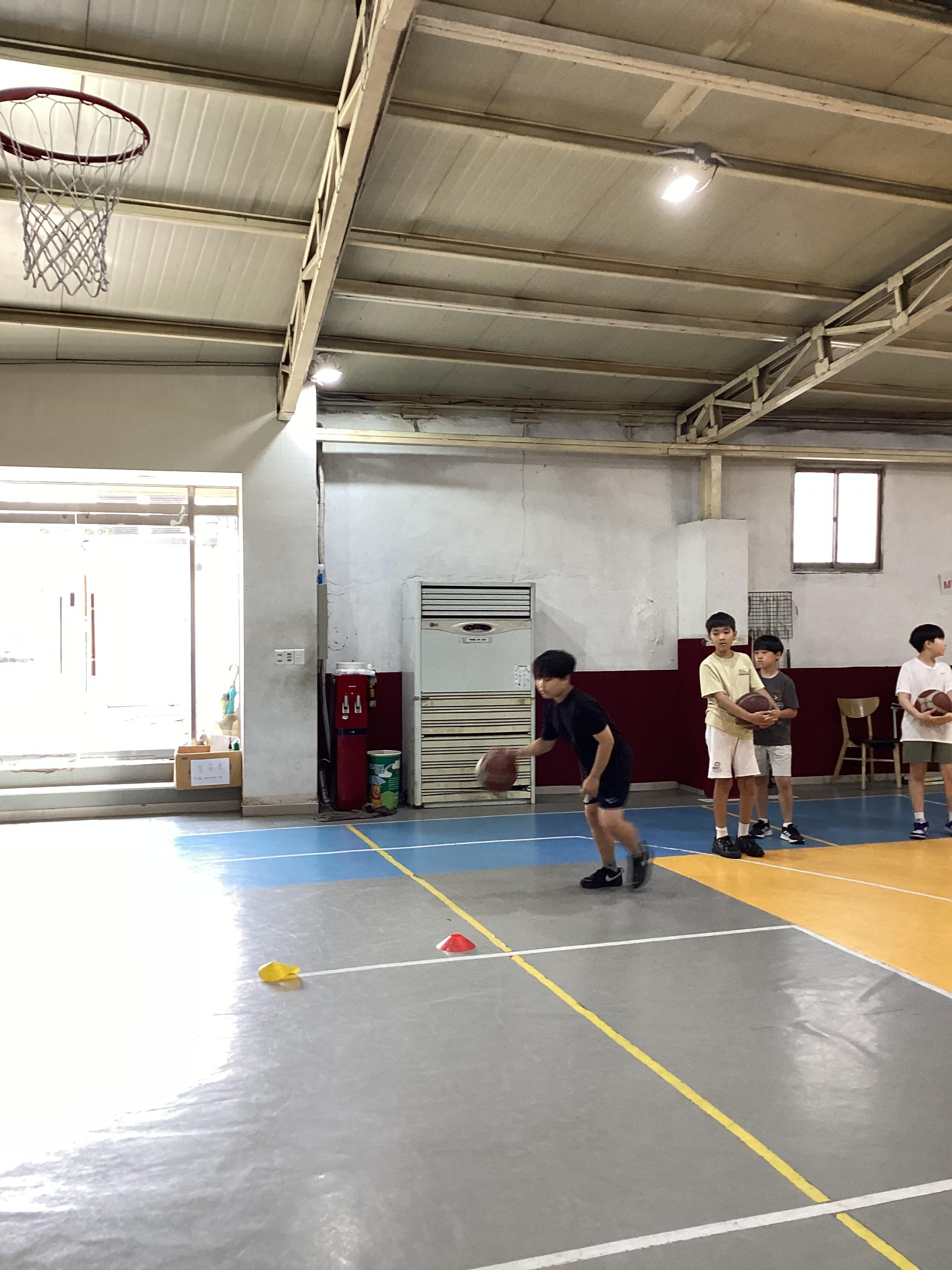 1c804fb493a39.jpg