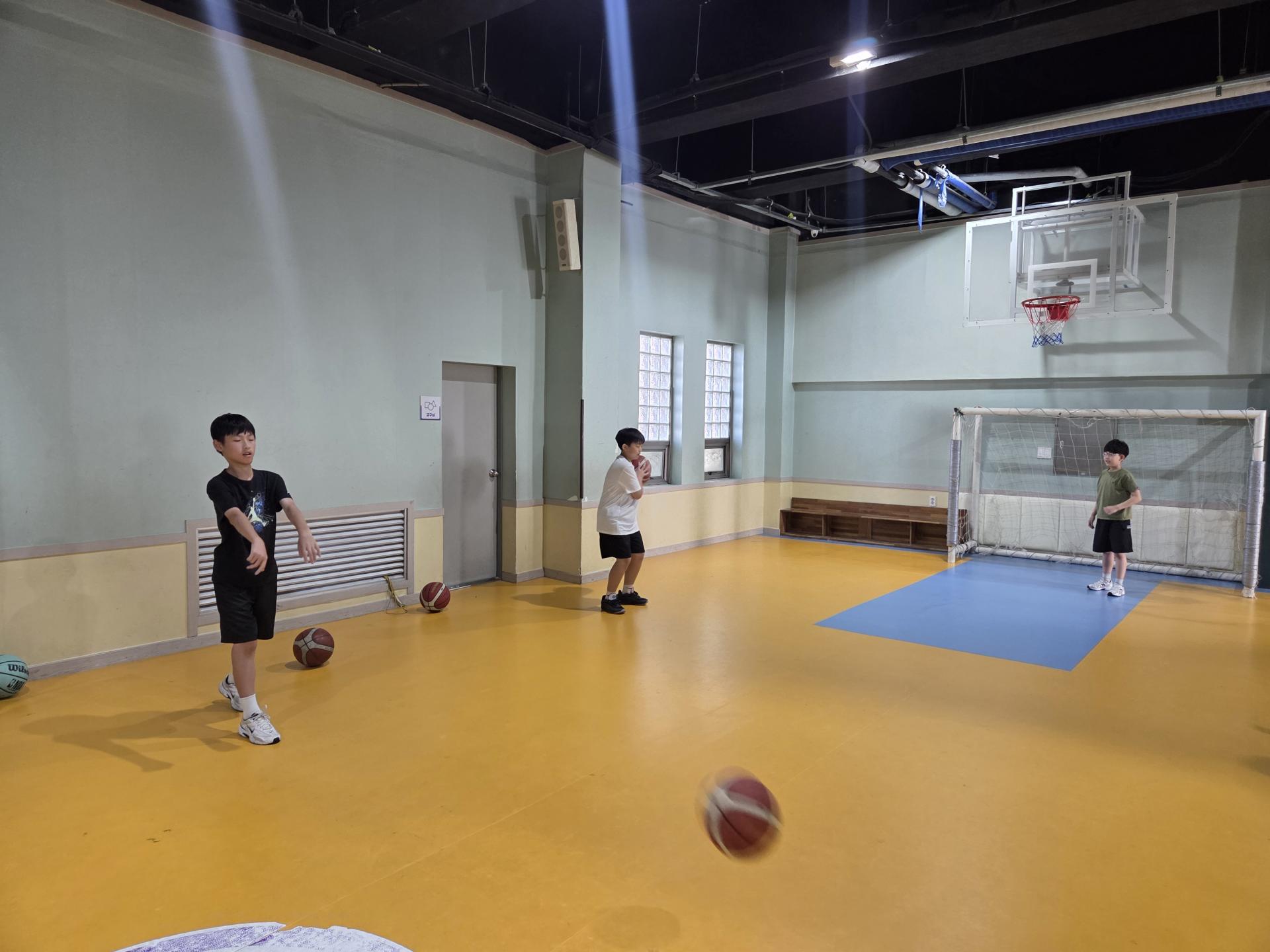 4f307b50aa631.jpg