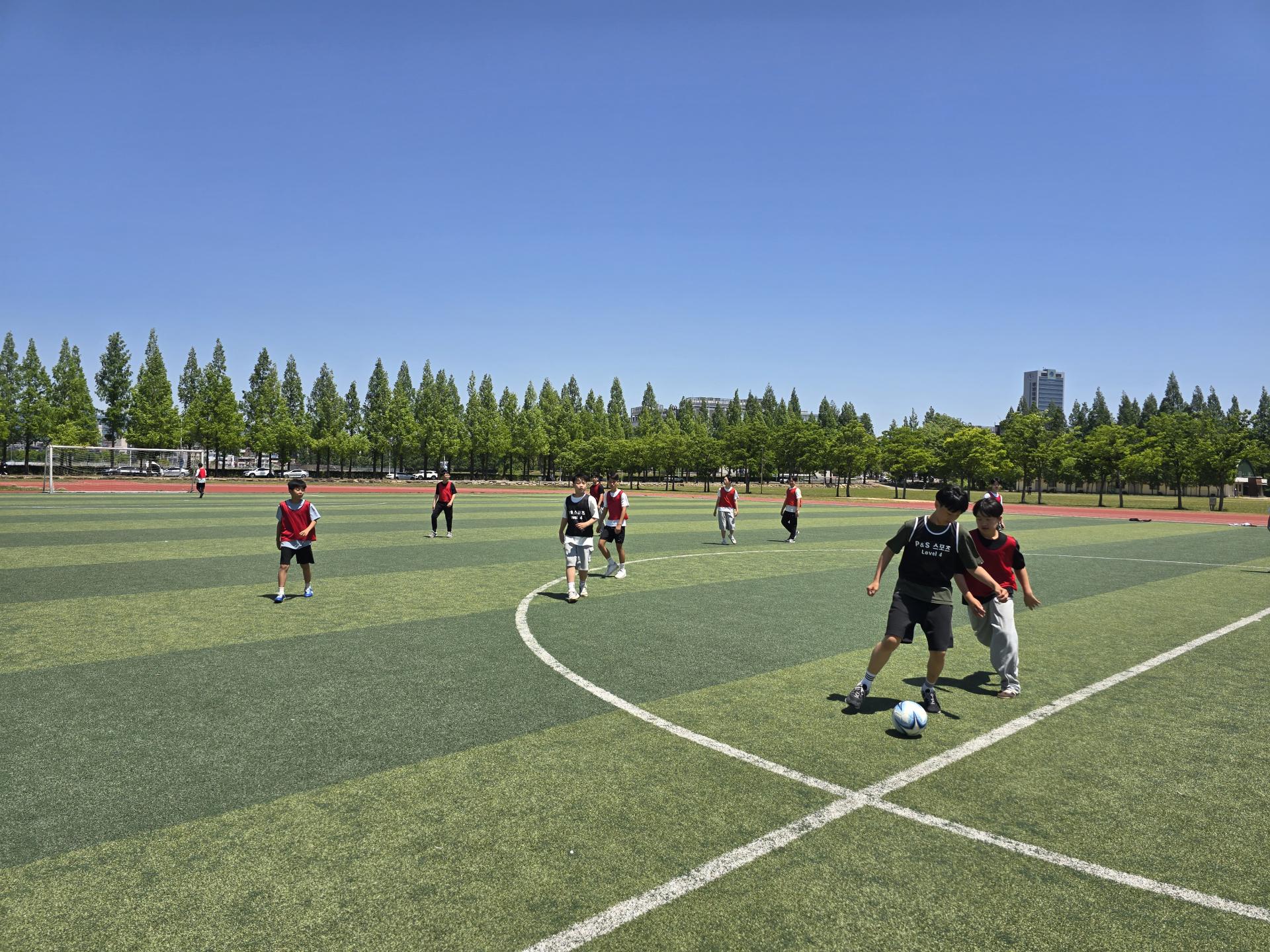 9546022dfa2e1.jpg