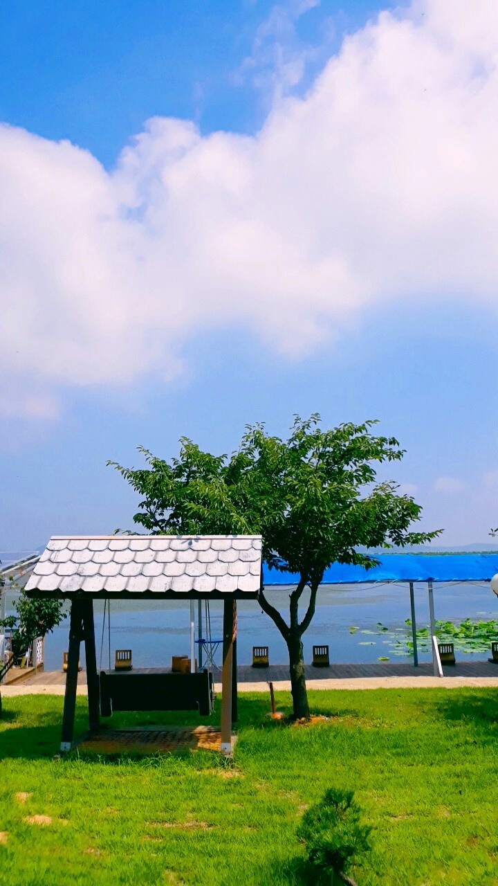5cde1ca54c02e.jpg