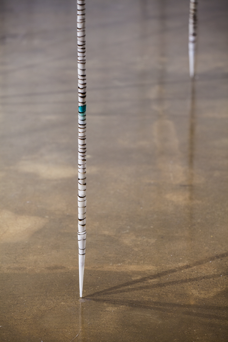 5cda2a2d69252.jpg