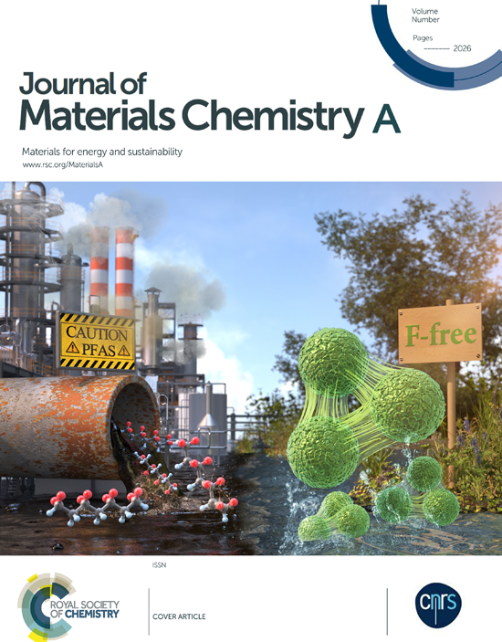 cd6f6bb41fe44.jpg