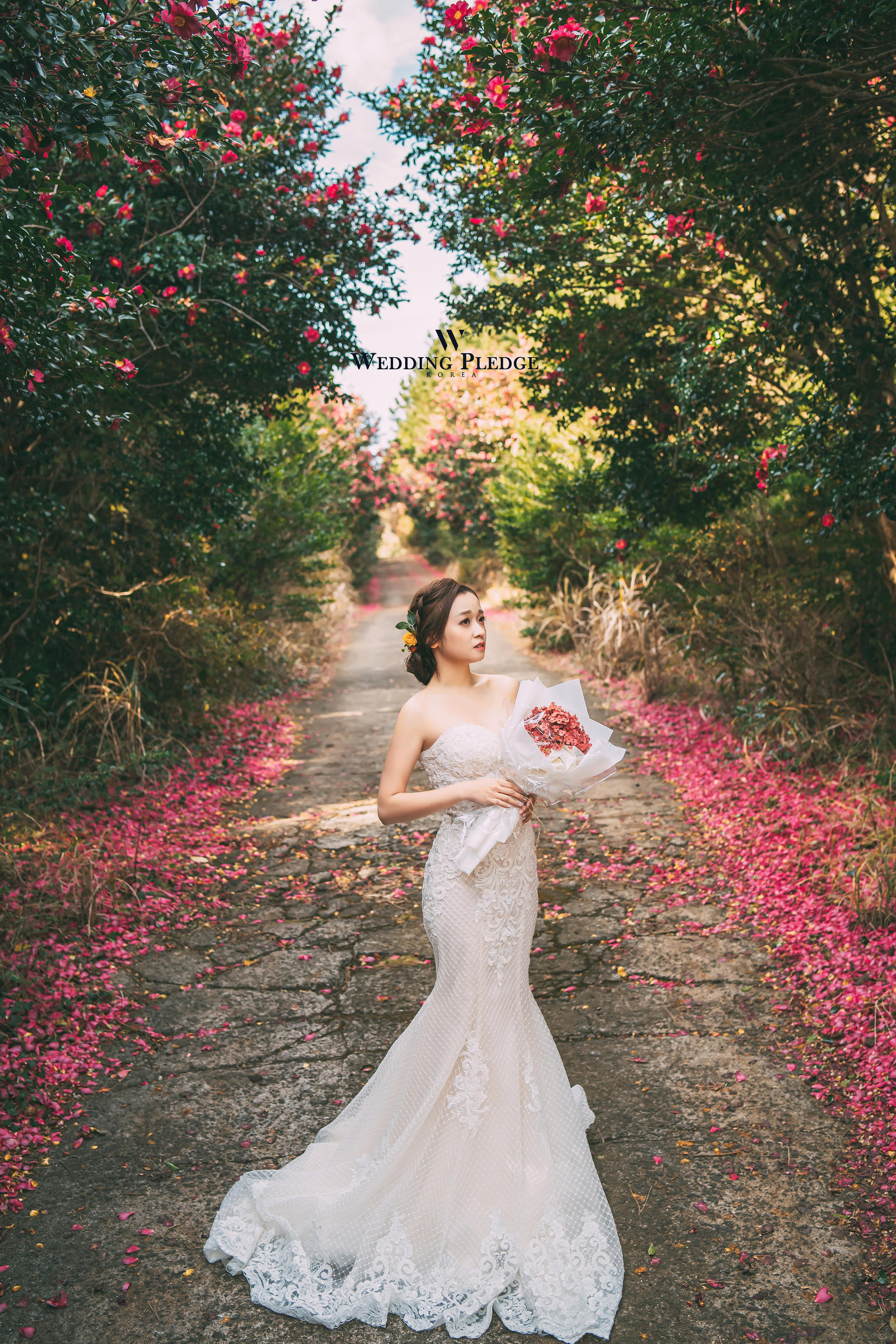 korean prewedding jeju island package