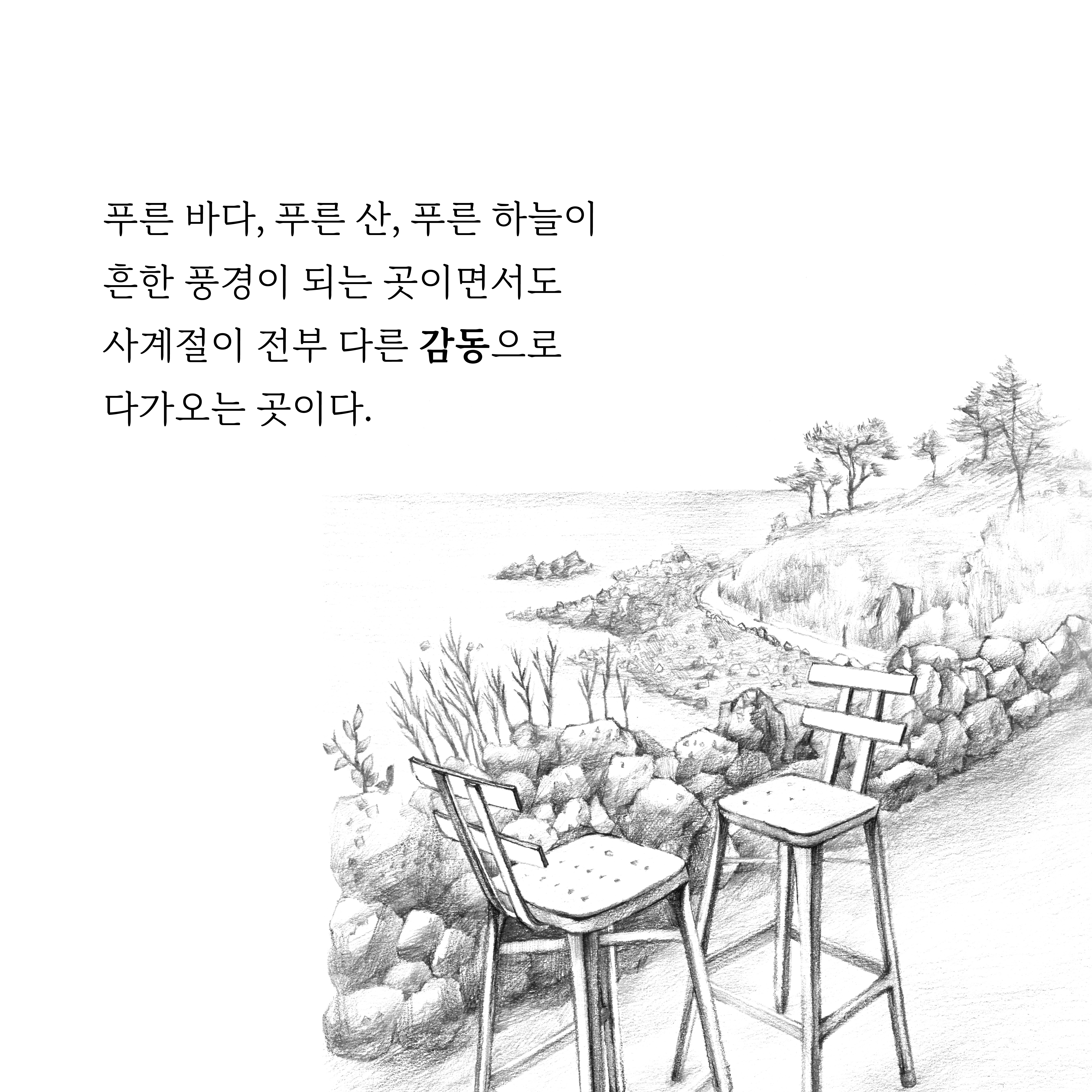 95d690cea920e.jpg