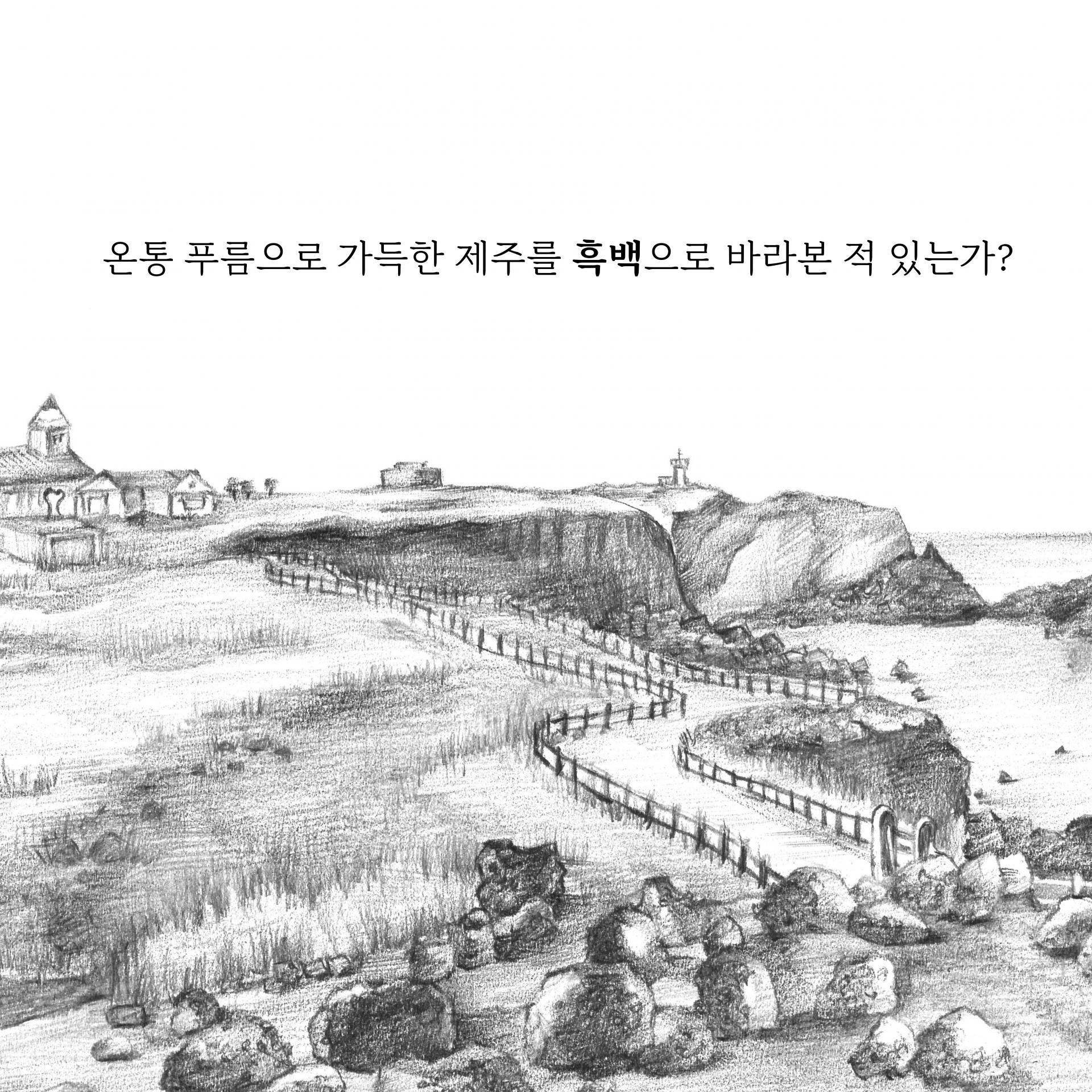 97597637da380.jpg