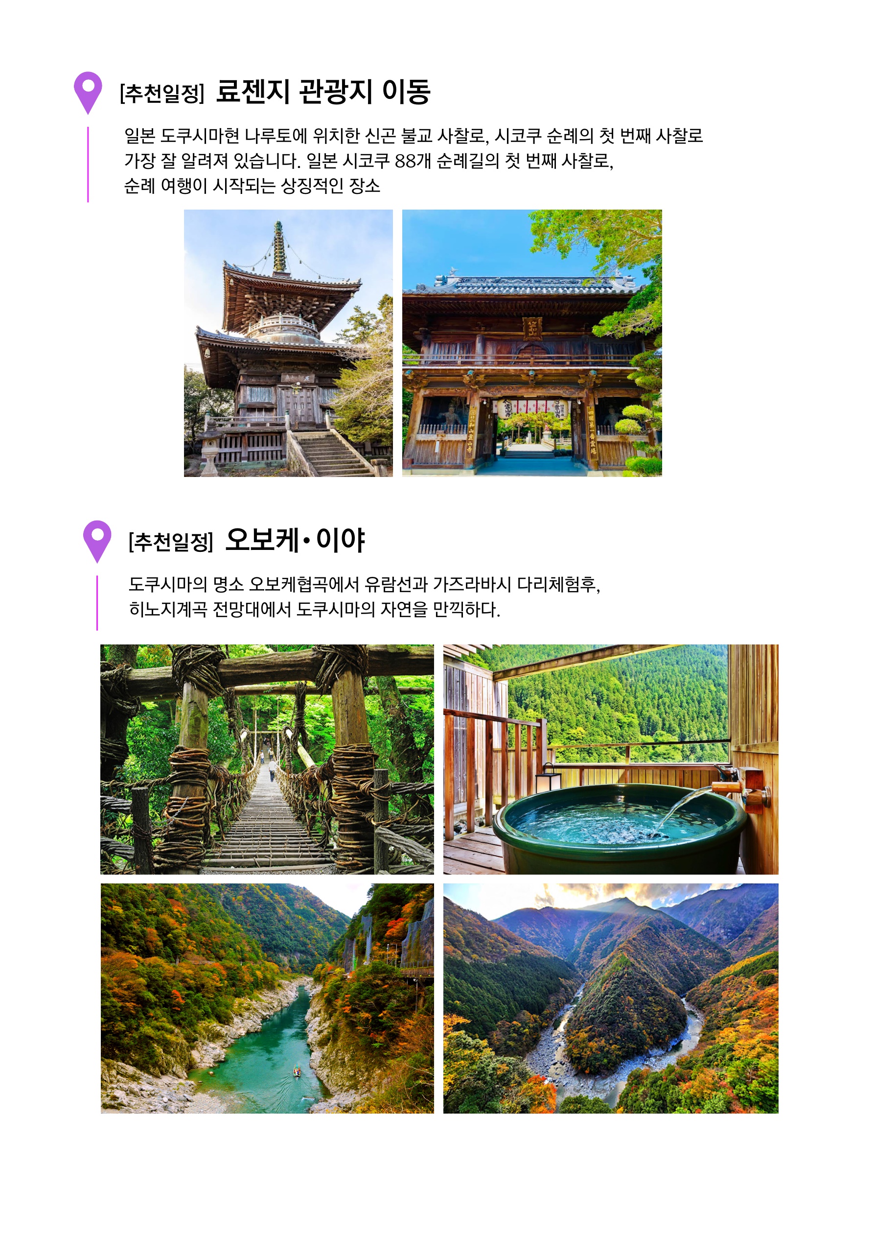 [문화예술]도쿠시마 문화예술 여행 3일