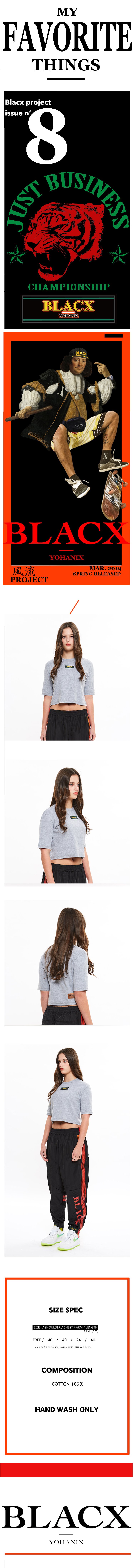 블락스 요하닉스(BLACX YOHANIX) CROPPED T-SHIRT GRAY