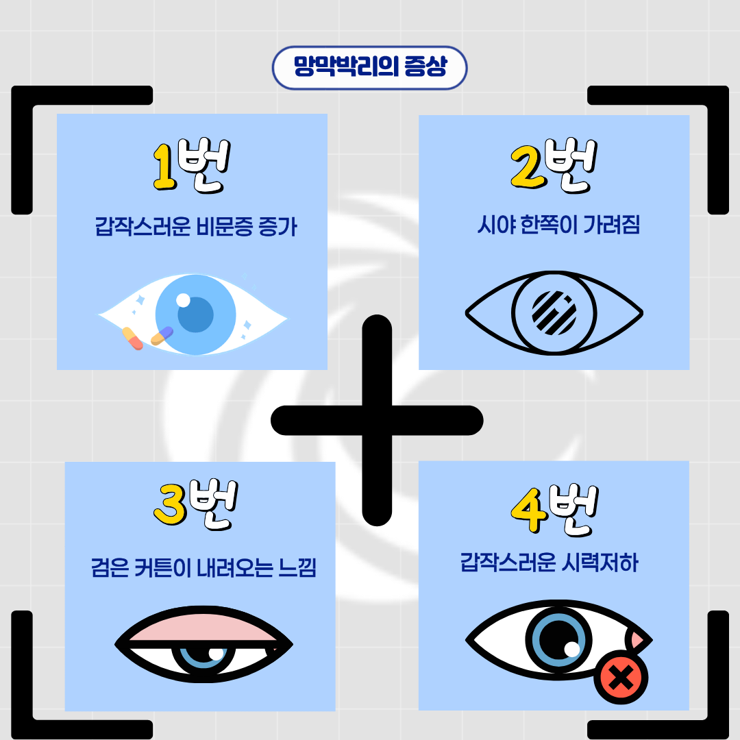 4bd86885f7a6b.png