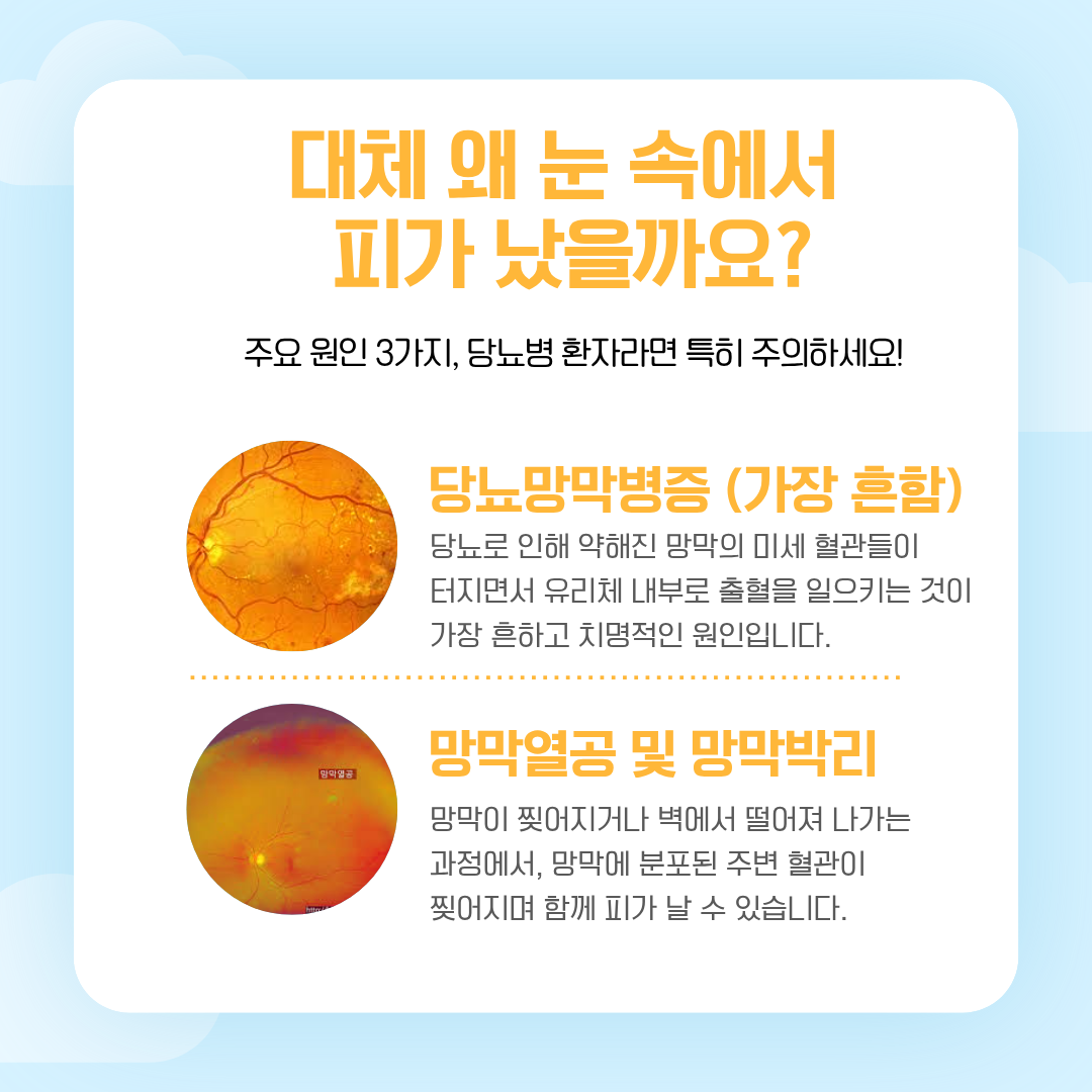 4ef55419bf5d0.png