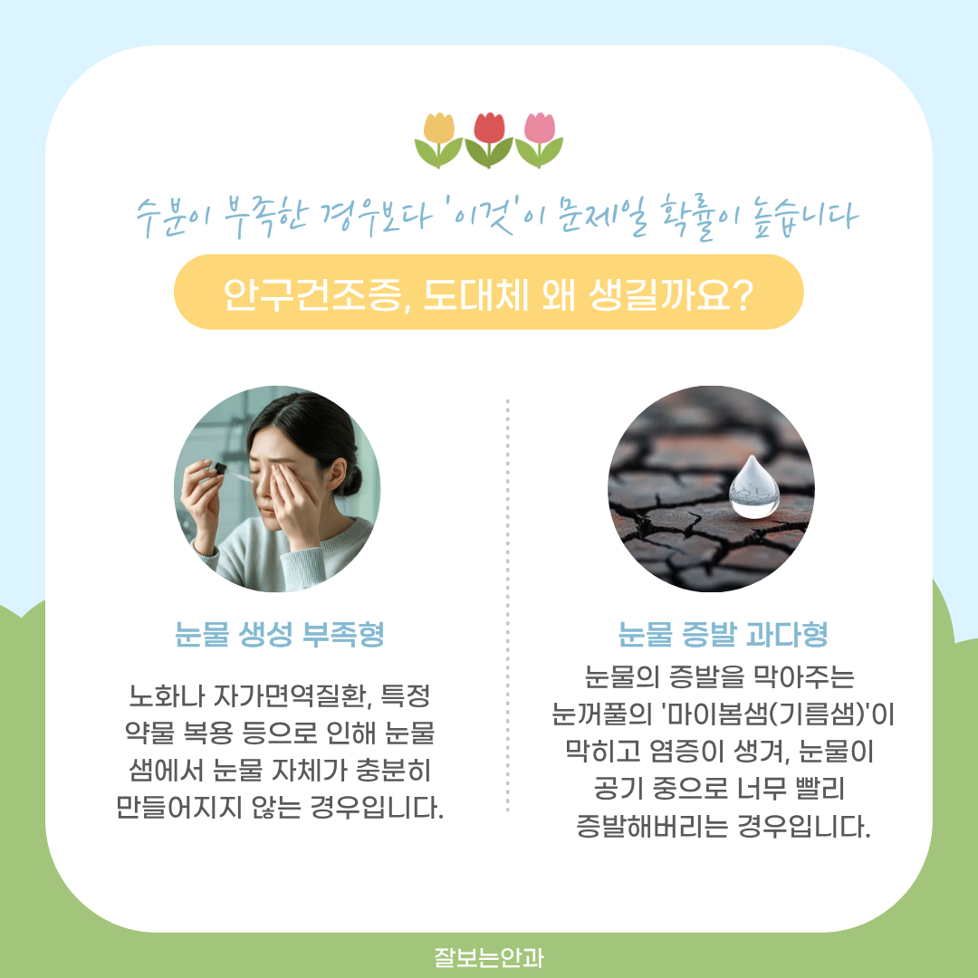 648fd8318aea4.png