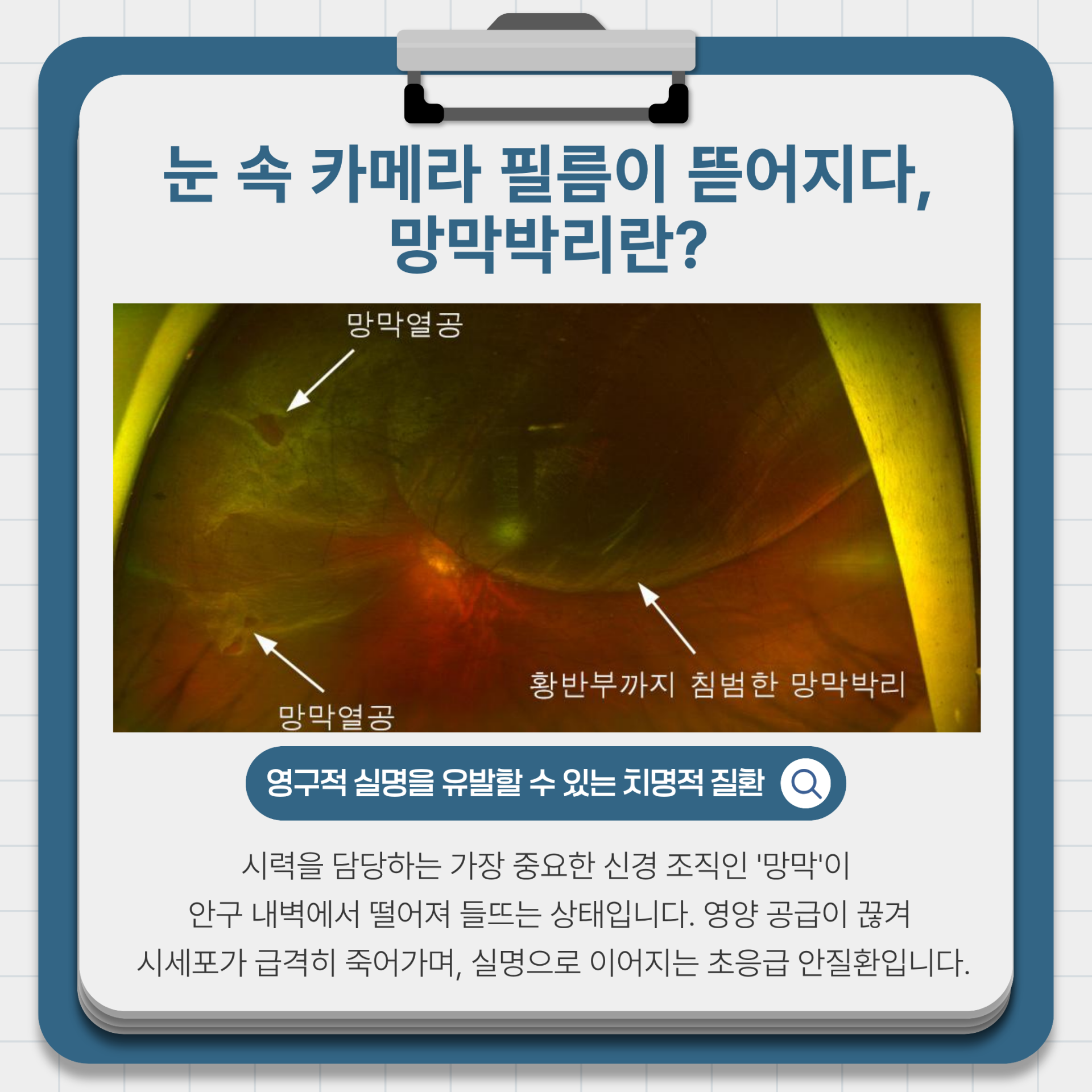 650107d34bf00.png