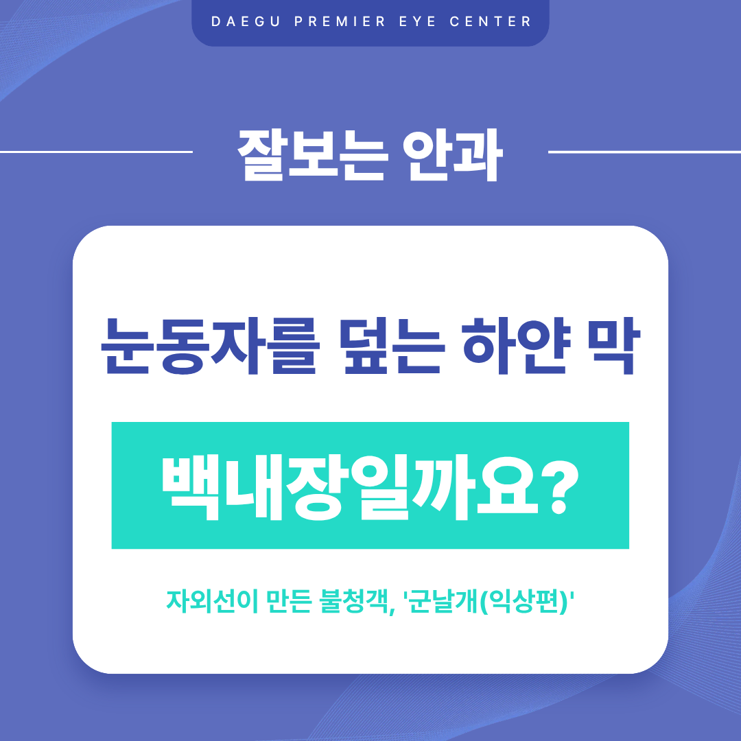 ab94ddec13d31.png