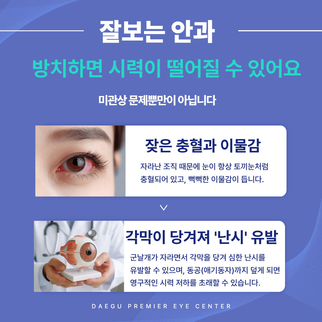 d19cfc5377527.png