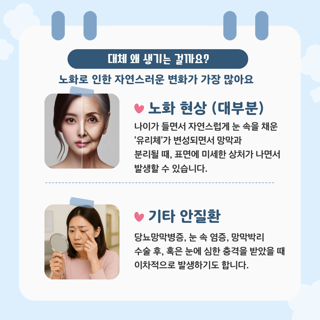 d567a3b31ec93.png