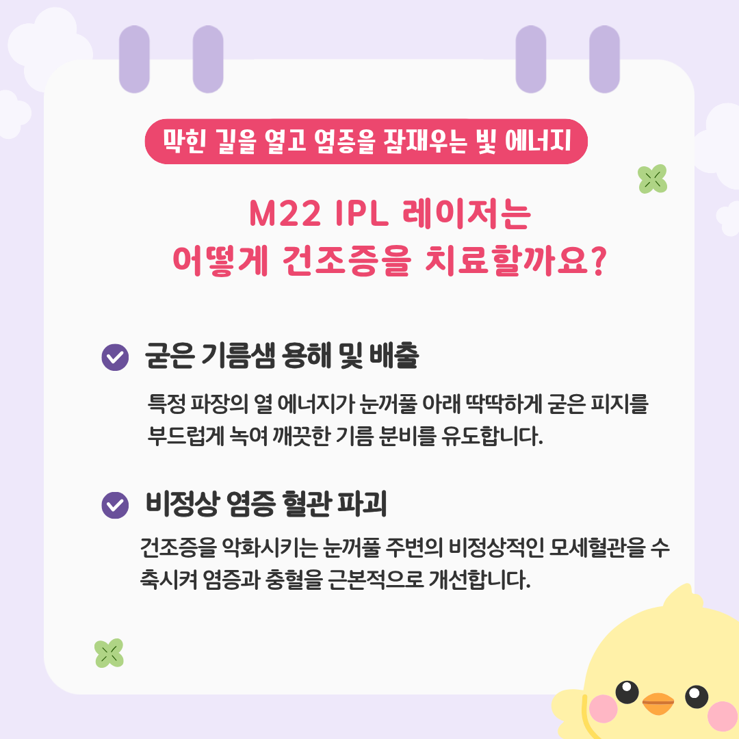 f33156a06d322.png